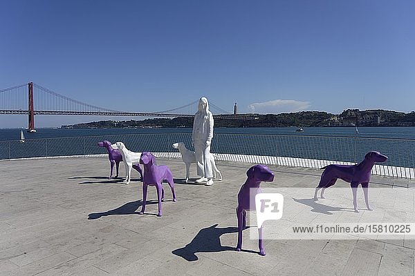 Belem  Maat Museum  Dach  Hund  Lissabon  Portugal  Europa