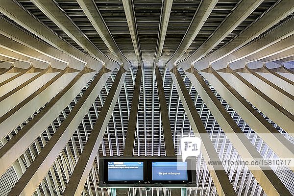 Detail des Daches des Bahnhofs von Lüttich  Gare de Liège-Guillemins  entworfen von dem spanischen Architekten Santiago Calatrava  Nachtaufnahme  Lüttich  Wallonische Region  Belgien  Europa