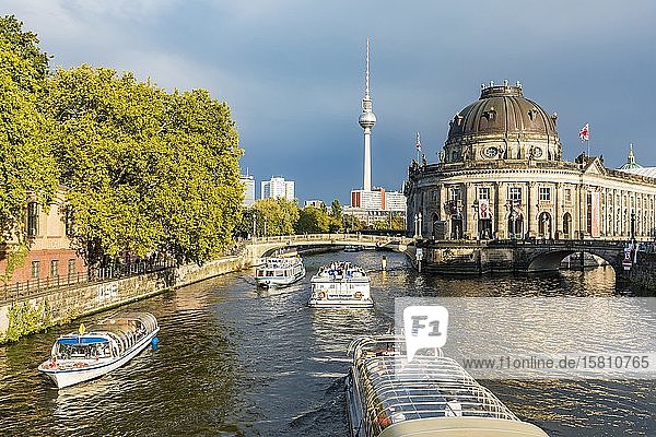 Museum Island  Bode Museum  Spree  excursion boats  television tower  UNESCO World Heritage Site  Berlin-Mitte  Berlin  Germany  Europe