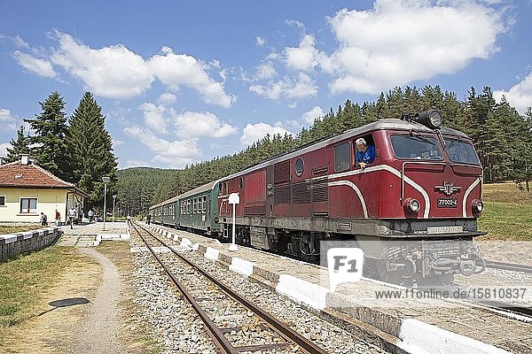 Schmalspurbahn oder Rhodopenbahn im Bahnhof Avramovo  Provinz Pazaardjik  Bulgarien  Europa