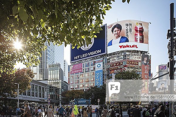 Tall buildings with advertising at the famous Shibuya intersection in Tokyo  Japan  Asia