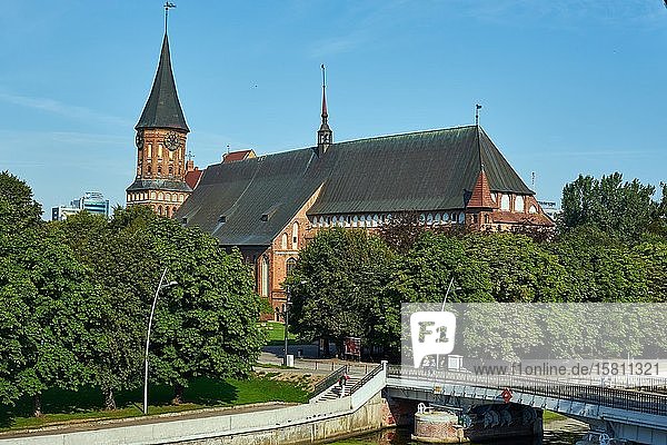 Königsberger Kathedrale  vor der Honigbrücke  Kaliningrad  Kaliningrader Oblast  Russland  Europa