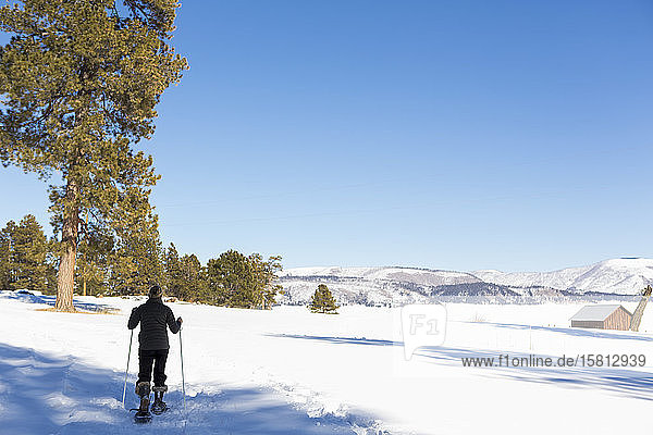 Erwachsene Frau mit Schneeschuhen und Stöcken auf einem Wanderweg.