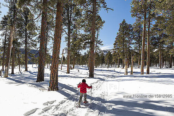 Rückansicht eines Jungen in roter Jacke beim Schneeschuhlaufen auf einem Pfad durch Bäume.