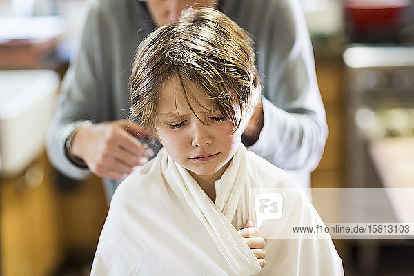 A six year old boy getting his hair cut at home by his mother