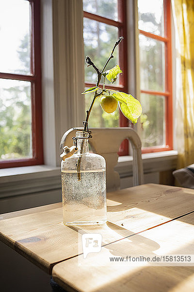 Gelbe Kirschpflaume wächst auf einem kleinen Zweig in einer Glasflasche auf einem sonnigen Tisch