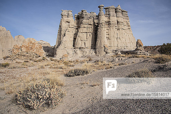 Sandsteinskulpturen (Hoodoos) auf der Plaza Blanca (dem weißen Platz) in den Rio Chama Hills  New Mexico  Vereinigte Staaten von Amerika  Nordamerika