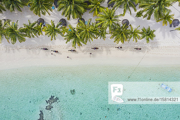 Tourists riding horses on palm-fringed beach aerial view Le Morne Brabant peninsula Black River Mauritius Indian Ocean Africa