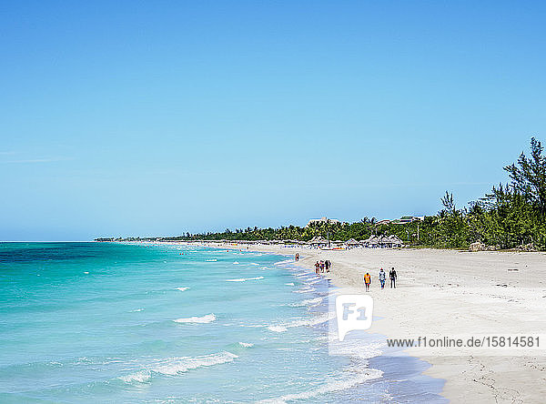 Beach in Varadero  Matanzas Province  Cuba  West Indies  Caribbean  Central America
