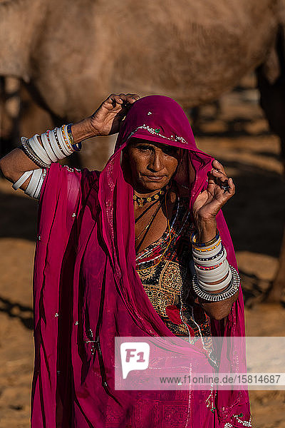 Rajasthanische Frau  Frau eines Kamelhändlers  in traditioneller Kleidung  hebt ihren Schleier  Kamele im Hintergrund  Pushkar Kamelmesse  Pushkar  Rajasthan  Indien  Asien