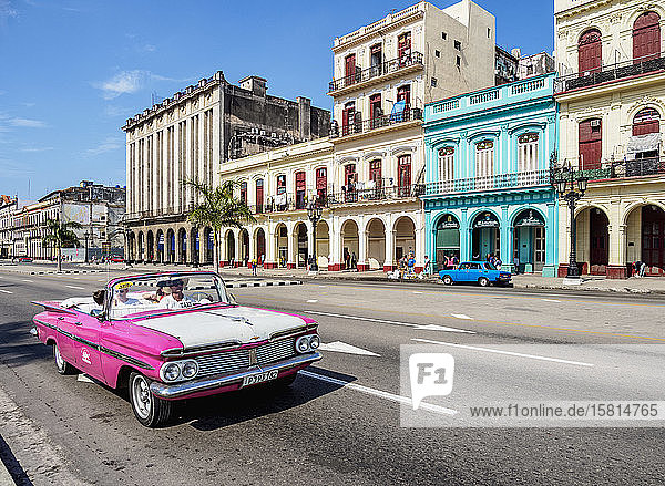 Oldtimer am Paseo del Prado (Paseo de Marti)  Havanna  Provinz La Habana  Kuba  Westindien  Karibik  Mittelamerika