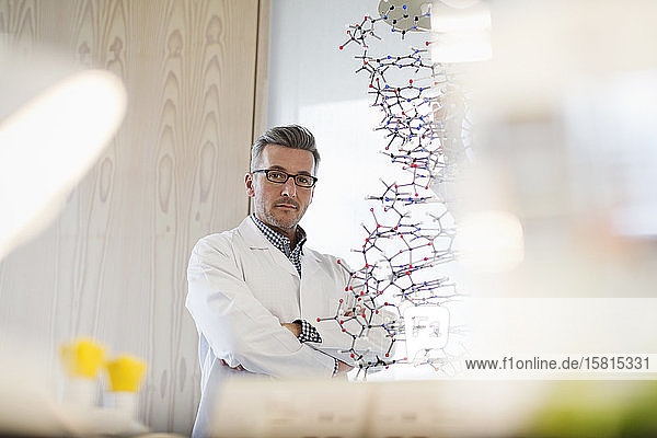 Porträt eines selbstbewussten  ernsten männlichen Lehrers der Naturwissenschaften  der hinter einer Molekularstruktur im Klassenzimmer steht