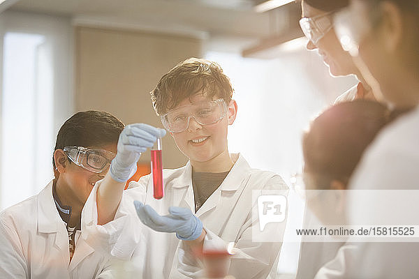 Schüler,  die eine Flüssigkeit im Reagenzglas untersuchen und ein wissenschaftliches Experiment im Labor durchführen