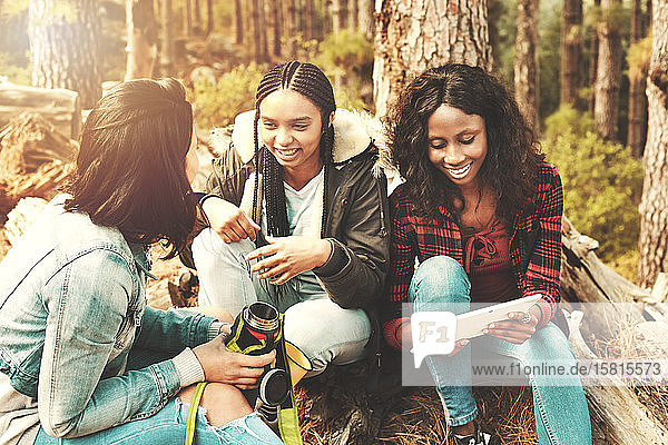 Junge Freundinnen trinken Kaffee und benutzen ein digitales Tablet im Wald