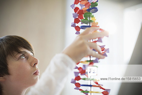Neugieriger Junge untersucht DNA-Modell