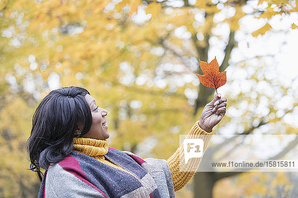 Neugierige Frau hält orangefarbenes Herbstblatt unter einem Baum im Park