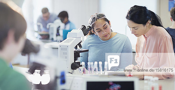Lehrerin und Schülerin führen wissenschaftliches Experiment am Mikroskop im Labor durch