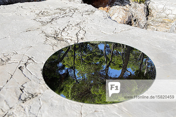 Round mirror lying on chalk cliff reflecting pine forest