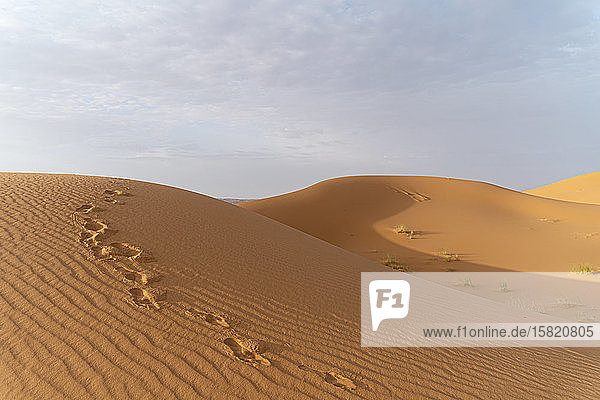 Fussspuren in Sanddünen in der Wüste Sahara Merzouga Marokko