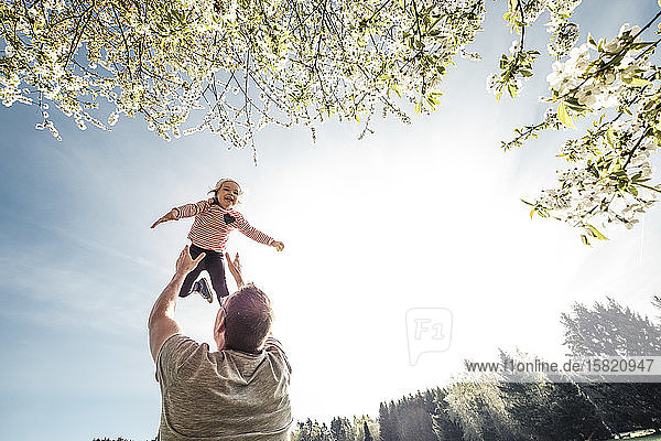 Vater wirft kleine Tochter in die Luft
