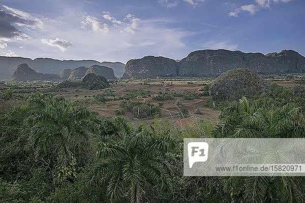 Szenen aus dem Valle de Vinales  Pinar del Rio  Kuba