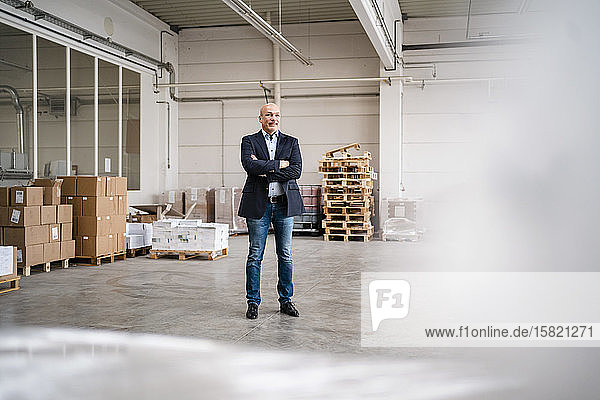 Businessman standing in a factory