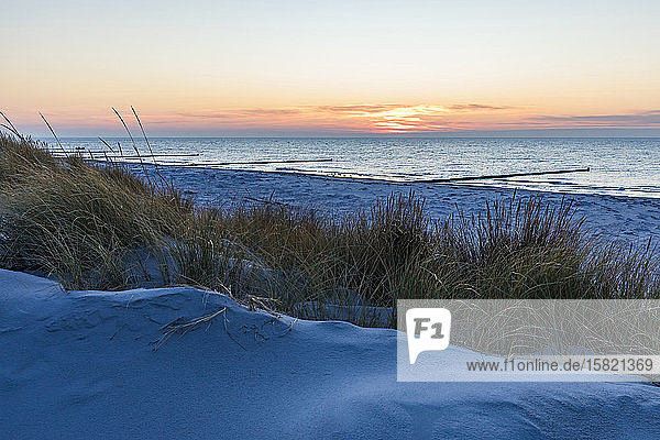 Deutschland  Mecklenburg-Vorpommern  Vitte  Grasdüne am sandigen Küstenstrand bei Sonnenuntergang