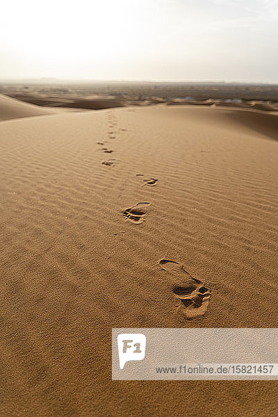 Fussspuren in Sanddünen in der Wüste Sahara Merzouga Marokko
