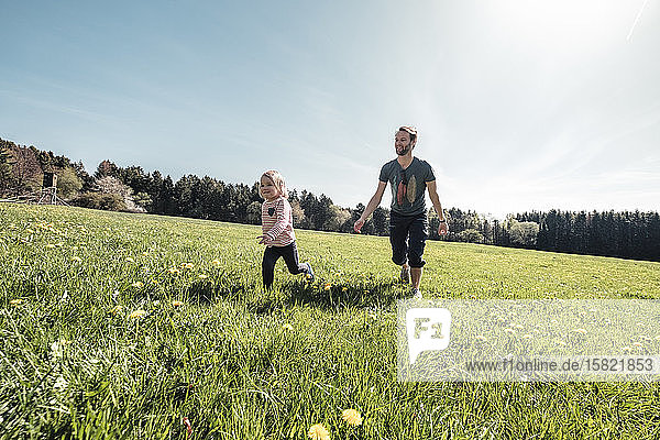 Vater und kleine Tochter amüsieren sich im Frühling gemeinsam auf einer Wiese