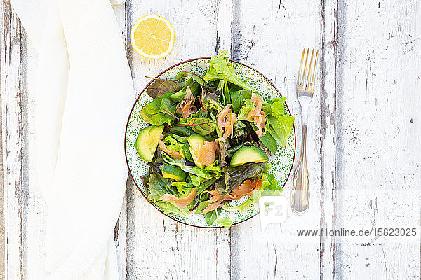 Teller verzehrfertiger grüner Salat mit Rucola Lollo-Rosso-Salat Babyspinat Rote-Bete-Blättern Avocado Feldsalat und Lachs