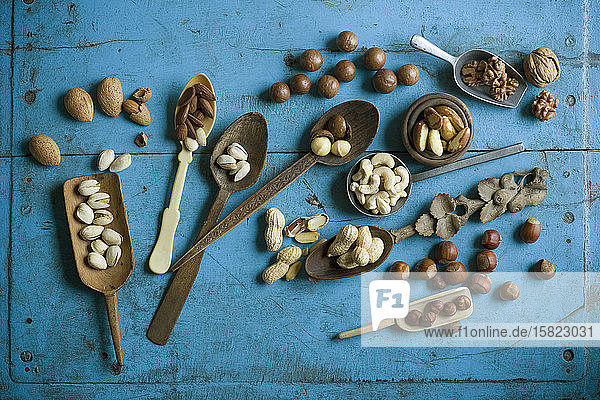 Draufsicht auf verschiedene Nüsse auf Löffeln auf blauem rustikalem Tisch