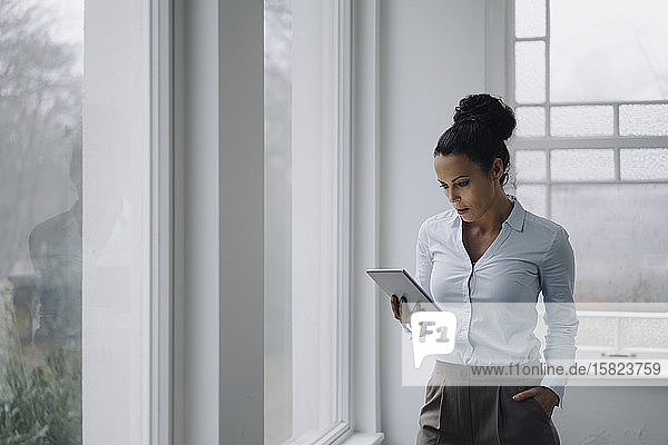 Successful businesswoman  standing by window  using digital tablet  reading