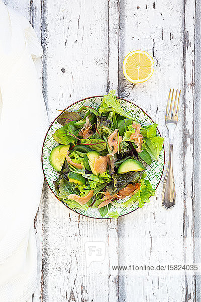 Teller verzehrfertiger grüner Salat mit Rucola  Lollo-Rosso-Salat  Babyspinat  Rote-Bete-Blättern  Avocado  Feldsalat und Lachs