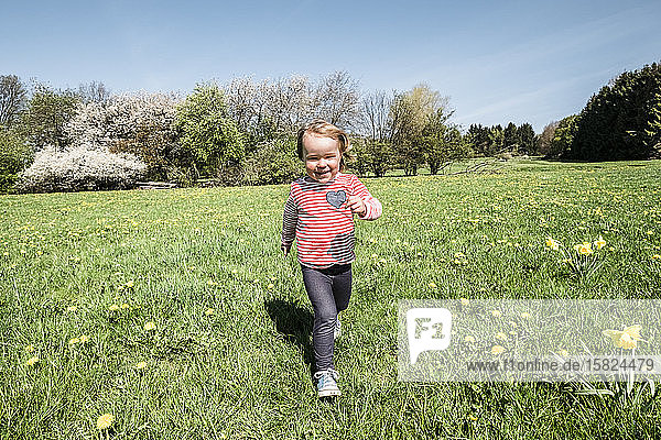 Portrait of happy little girl running on a meadow