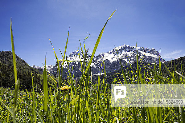 Panoramic mountain view in Val Badia Alto Adige Italy
