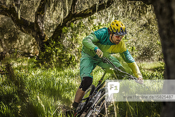 Mann fährt Mountainbike auf Waldwegen  Fort Ord National Monument Park  Monterey  Kalifornien  USA