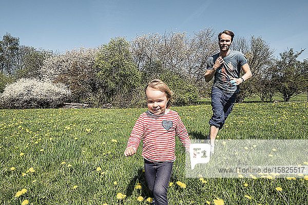 Kleines Mädchen und ihr Vater rennen im Frühling auf einer Wiese