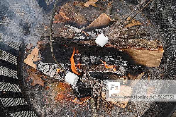 Fire pit with roasted marshmallows on sticks