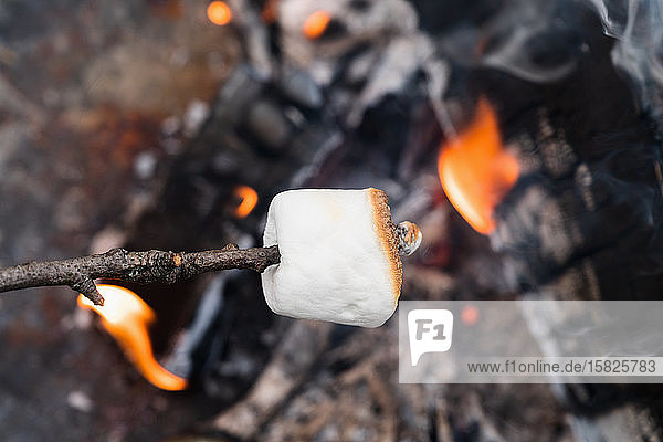 Close up of Marshmallow on stick roasting over fireÂ 