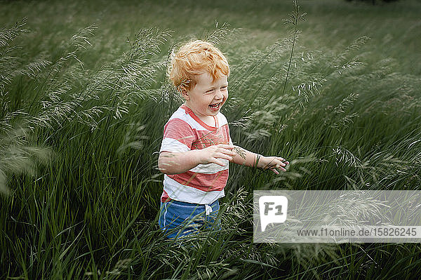 Kleinkind Junge 1-2 Jahre alt stehend und lachend in lang wehendem Gras