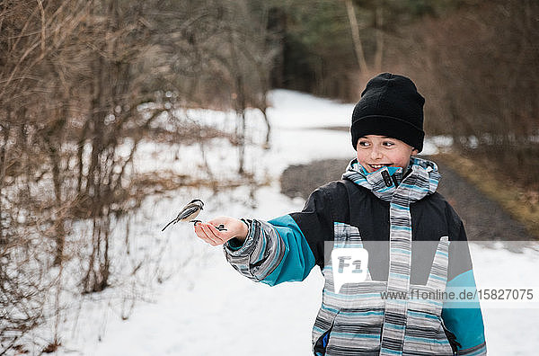 Junge Junge  der an einem Wintertag einen Chickadee-Vogel aus der Hand füttert.