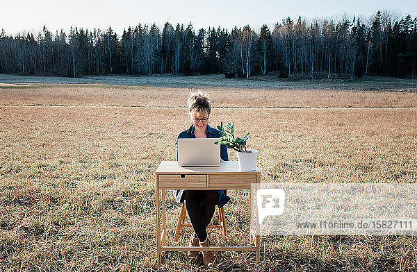 reisende Frau  die an einem Laptop und Schreibtisch auf einem Feld im Freien arbeitet