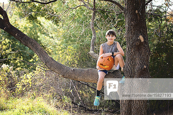 Young Boy Sitting in Tree With Carved Pumpkin