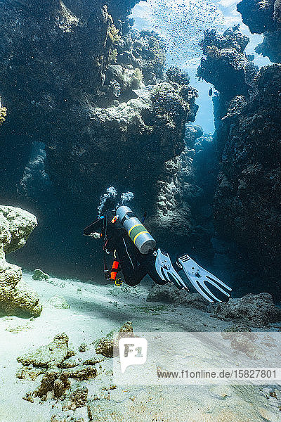scuba diver exploring a canyon at the great barrier reef in Australia