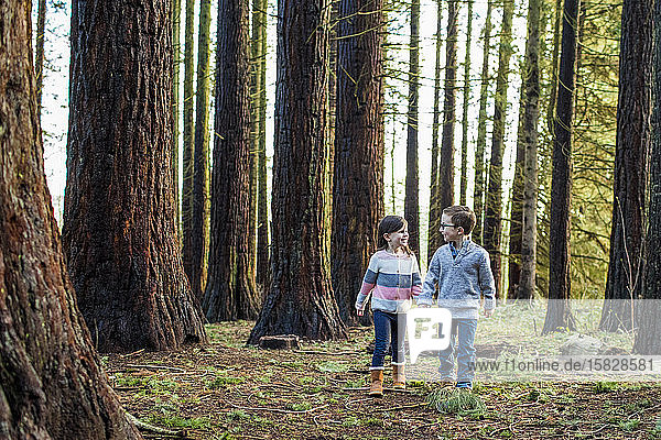 Boy and girl holding hands  walking through a forest.