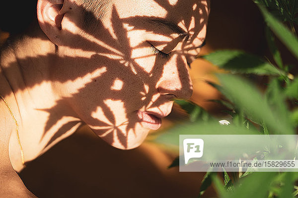 Marihuana-Blätter werfen Schatten auf friedliches menschliches Gesicht