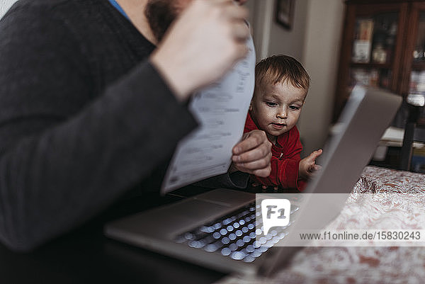 Nahaufnahme eines kleinen Sohnes  der sich den Computer seines Vaters ansieht  während er zu Hause arbeitet