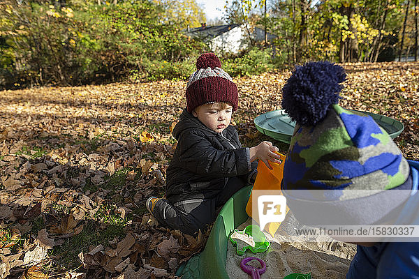 Two brothers surrounded by leaves play in sandbox during Fall season