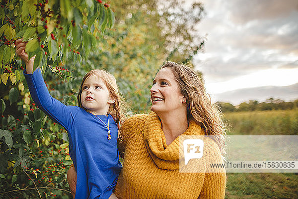 Eine glückliche Frau hält ihre Tochter hoch  um rote Beeren an einem Baum zu erforschen