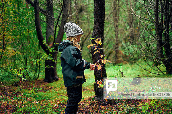 Mädchen in warmer Kleidung berührt Blätter am Ast eines Baumes im Wald
